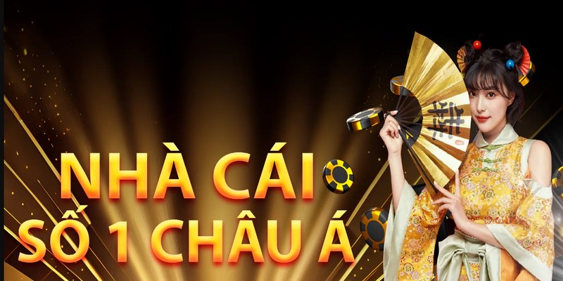 XIN88 - Thương hiệu cá cược trực tuyến non trẻ