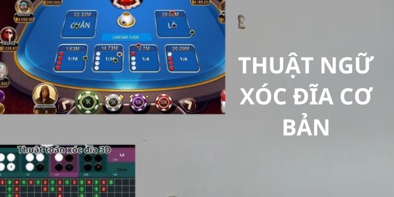 Thuật ngữ xóc đĩa